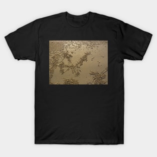 Bubbles in the Sand T-Shirt